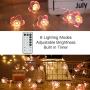 Flower String Lights, Remote Cherry Blossom String Lights ,16.4ft 50 LEDs USB or Battery Operated Fun Room Fairy Lights for All Weather, Wedding, Dorm, Girls Bedroom, Baby Carriage Decoration Flower String Lights, Remote Cherry Blossom String Lights ,16.4ft 50 LEDs USB or Battery Operated Fun Room Fairy Lights for All Weather, Wedding, Dorm, Girls Bedroom, Baby Carriage Decoration