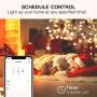Smart Dimmer Plug Treatlife Outdoor Dimmer Works with Alexa and Google Assistant, WiFi Outlet Remote Control, Max Power 400W, IP44 Waterproof for Dimmable String Lights, Smart Home