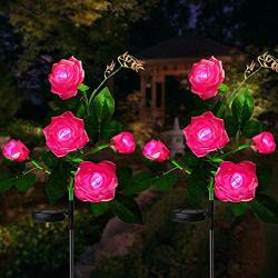 Fuzaws Solar Lights Outdoor Rose Flower, 2 Pack Solar Powered Garden Decorations with 10 Bigger Rose Flower, WaterproofLights for Garden Patio Yard Pathway Decoration (Pink Rose)