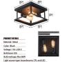 Ganeed Retro Rectangle Flush Mount Ceiling Light,Industrial Farmhouse Close to Ceiling Light Black Ceiling Lamp with 2-Light for Kitchen Island Dining Room Bedroom Foyer Hallway