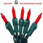 Red Outdoor String Lights, Green Wire Incandescent Lights String 66 Feet and 200 Light, UL Certified Commercial Grade Mini Lights Set, for Party, Wedding, Garden.