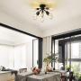 Mount Sputnik Ceiling Light with 8 Lights, Modern Antique Black Sputnik Industrial Ceiling Lamp Fixture for Kitchen Bathroom Study Living Room Dining Room Bed Room Foyer Entry Way Hallway