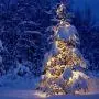 FUNPENY 2 Pack 50 LED Outdoor Christmas Lights, 16 FT Mini String Light with 8 Modes, Waterproof Tree Lights for Indoor Outdoor Patio Garden Party Wedding Christmas Decoration, Warm White FUNPENY 2 Pack 50 LED Outdoor Christmas Lights, 16 FT Mini String Light with 8 Modes, Waterproof Tree Lights for Indoor Outdoor Patio Garden Party Wedding Christmas Decoration, Warm White