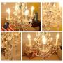 Saint Mossi Crystal Maria Therese Chandelier Lighting 4 Lights H17” W18''