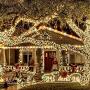 JMEXSUSS Solar String Light 600LED 206.7ft 8 Modes Solar Christmas Lights Waterproof Outdoor Fairy String Lights for Gardens, Homes, Wedding, Party, Christmas Tree,Xams,Gifts,Outdoors (600-Warm White)