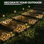 LeiDrail Solar Pathway Lights Outdoor Garden Path Light Warm White LED Black Metal Stake Landscape Lighting Waterproof Decorative for Yard Patio Walkway Lawn In-Ground Spike - 6 Pack