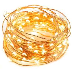 TaoTronics LED String Lights 33 ft with 100 LEDs, Waterproof Decorative Lights for Bedroom, Patio, Parties (Copper Wire Lights, Warm White)