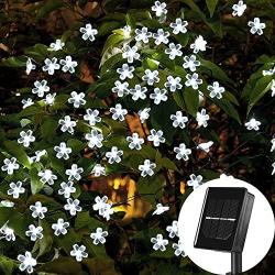 Solar Flower String Lights，22ft 50 Led Cherry Blossoms String Lights Outdoor Waterproof Solar Powered Fairy Lights for Outdoor,Garden, Patio (White)