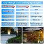 B-right LED Path Lights Outdoor, 6 Pcs 4.8W Pathway Lights AC Plug and Play Waterproof Extendable Landscape Lighting 570 Lumens Acrylic Bubble Garden Lights for Patio Yard Walkway, Warm White, 2700K