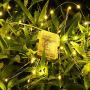 Govee String Fairy Lights, 16.4 Feet Remote Fairy Lights 2 Pack, 50 LEDs Waterproof Flexible String Lights Battery Operated for Bedroom Home Wedding Christmas Festivals Warm White