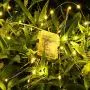 Govee String Fairy Lights, 16.4 Feet Remote Fairy Lights 2 Pack, 50 LEDs Waterproof Flexible String Lights Battery Operated for Bedroom Home Wedding Christmas Festivals Warm White