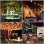 2-Pack 48FT 3-Color in 1 Outdoor LED String Lights for Patio with Remotes, 96FT Dimmable LED Edison String Light, Warm/Daylight White Shatterproof Waterproof Bistro Hanging Lights for Backyard Pergola