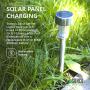 Sunco Lighting 24 Pack Solar Path Lights, Dusk-to-Dawn, 6000K, Above Ground Stake, Easy No-Wire Install, Solar Powered LED Landscape Lighting, Weatherproof, Illuminate Gardens, Pathways and Flower Bed