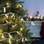 Amazon Basics 100 LED Commercial Grade Outdoor Christmas String Lights - White Rope, Warm White LED, 33-Foot, 2-Pack