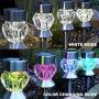 Solar Pathway Lights Outdoor, 6 Pack Solar Garden Lights, Dual Color Changing LED Landscape Stake Outdoor Solar Lights for Walkway Solar Pathway Lights Outdoor, 6 Pack Solar Garden Lights, Dual Color Changing LED Landscape Stake Outdoor Solar Lights for Walkway
