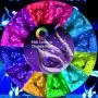 Moobibear 33FT RGB String Light, Bluetooth App Controlled 100 LED USB Fairy Light, Multi Color Changing Flexible Light with 20-Key Remote Control for Home Bedroom Patio Party Wedding Festivals