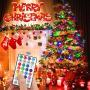 Auplf USB Christmas String Lights,33ft 100 LEDs Fairy String Lights 16 Colors Changing Twinkle Lights with Remote,String Lights with Timer Function for Wedding Halloween Christmas Festival