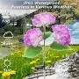 Solar Lights Outdoor Decorative - 2 Pack Hydrangea Solar Garden Stake Lights Waterproof and Realistic LED Flowers Powered Outdoor In-Ground Lights for Garden Lawn Patio Backyard (Purple) Solar Lights Outdoor Decorative - 2 Pack Hydrangea Solar Garden Stake Lights Waterproof and Realistic LED Flowers Powered Outdoor In-Ground Lights for Garden Lawn Patio Backyard (Purple)