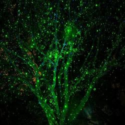 Poeland Christmas Laser Lights Projector Garden Lights for Home & Garden - Green Blue