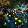 Solar Lawn Light rose2 Pack（6 Heads）,Rose Solar Energy Outdoor Garden Light, Garden Light Outdoor Decoration, Outdoor Light Pile,Solar energyStatue lamp， Garden Stakes Decorative,Lawn Garden，Rose