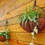 SELEWARE Pack of 20 Q-Hanger, Home Christmas Lights Hanger Hooks with Phillips Screw for Garage New Year Party Outdoor Easy Release Wire and Fairy Led Lights,Widthwise Screw Hooks for Indoor Outdoor