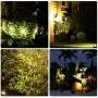 LED Landscape Solar Spotlights, T-SUN Waterproof Outdoor Solar Lights Auto ON/Off Solar Wall Lights for Garden, Driveway, Pathway, Pool Area(Warm White)
