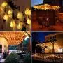 SZWTC 33ft 80 LEDs Globe String Lights Battery Operated, Fairy Lights Waterproof 8 Modes with Remote Control for Home, Party, Christmas, Wedding, Patio, Garden Decoration (Warm White) SZWTC 33ft 80 LEDs Globe String Lights Battery Operated, Fairy Lights Waterproof 8 Modes with Remote Control for Home, Party, Christmas, Wedding, Patio, Garden Decoration (Warm White)