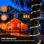 66ft LED Rope Lights Outdoor, OxyLED 300 LED String Lights with Remote, IP65 Waterproof Connectable Tube Lights Plug-in, 7 Modes Rope Lights for Bedroom, Patio Decor, Wedding (Warm White)