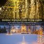 7.3ft 220 LED Bunch Lights,10 Strands Waterfall Lights Waterproof Christmas Vine String Lights for Room Outdoor Indoor Tree Decoration Wedding Party Holiday, Copper Wire Fairy Lights With Remote Timer