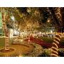 33ft LED Rope Lights,110V 2 Wire Connectable Christmas Rope Lights Outdoor,240 LED Waterproof Indoor Outdoor Warm Rope Lights for Deck, Patio, Pool, Camping, Landscape Lighting (Warm White)