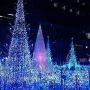 Sheila 65.6 Feet 200LED String Lights 8 Mode Flashing Controller Fairy Twinkle Decorative Lights for Kids Bedroom, Wedding, Chirstmas Tree, Festival Party, Garden, Patio, Room Decoration (Blue)