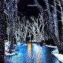 Jiamao 2 Pack 42.7ft 100 LED Solar Christmas Light 8 Modes Waterproof Solar String Light Outdoor Solar Fairy String Lights for Garden,Wedding,Party, Patio,Christmas Decoration (White)