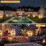 Upgraded Solar Torch Lights, Super Bright LED Waterproof Flickering Dancing Flames Torches Light Outdoor Solar Landscape Decoration Lighting Dusk to Dawn Auto On/Off Path Lamp (4 Pack-Circle)