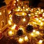 Globe String Lights for Bedroom Battery - 33ft 100 Led String Lights with Remote Controller,Battery Operated String Lights,Decorative Lights for Party/Wedding Outdoor/Indoor Garden,Christmas Lights