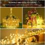 JTBHOIK Window Curtain String Lights, 300 LED 8 Lighting Modes Fairy Lights Remote Control USB Powered, Waterproof Lights for Chrismas Bedroom Party Wedding Home Garden Wall Outdoor Indoor Warm White