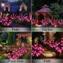 HeyMate Solar Garden Lights Outdoor 2 Pack Solar Purple Orchid Flower Lights Waterproof Solar Christmas Decorative Lights for Patio,Yard,Backyard,Pathway HeyMate Solar Garden Lights Outdoor 2 Pack Solar Purple Orchid Flower Lights Waterproof Solar Christmas Decorative Lights for Patio,Yard,Backyard,Pathway