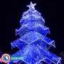 Russell Decor LED Rope Lights Festival Holiday Party Seasonal Christmas Decoration 30ft - 200ft Customized Available (Blue, 10)