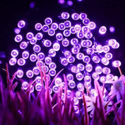 FULLBELL LED String Lights Fairy Twinkle Decorative Lights 200 LED 65.6 Feet with Multi Flashing Modes Controller for Kids Bedroom, Wedding, Chirstmas Tree, Festival Party, Garden, Patio (Purple)