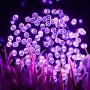 FULLBELL LED String Lights Fairy Twinkle Decorative Lights 200 LED 65.6 Feet with Multi Flashing Modes Controller for Kids Bedroom, Wedding, Chirstmas Tree, Festival Party, Garden, Patio (Purple)