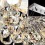 7PM W60'' x D12'' Modern Rain Drop Rectangle Clear K9 Crystal Chandelier Pendant Lamp Light Fixture 16 Lights for Dining Room Kitchen Island Chrome Frame