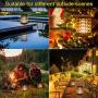 Arzerlize Solar Lanterns Outdoor Hanging, Garden Decorations, led Solar Lights Dancing Flame Patio Decor Pathway Landscape Waterproof auto on/Off Yellow 4/P