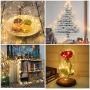 Moobibear LED Ultra Long String Lights 164ft 500 LEDs Starry String Lights, Remote Control Copper Wire Lights with 8 Scene Modes 4 Timer Options for Garden Room Patio Party Christmas