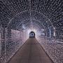 Ever Smart String Lights LED Curtain Lights Twinkle String White Lights 8 Modes New Version Fairy Linkable String Light for Christmas Party Wedding Patio Lawn Garden Decorative Lights