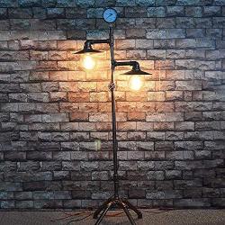 LITFAD 2 Heads Saucer Shade Floor Lamp with Water Pipe Retro Style Industrial Metal Floor Lamp for Living Room Dining Room Restaurant