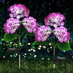 Solar Lights Outdoor Decorative - 2 Pack Hydrangea Solar Garden Stake Lights Waterproof and Realistic LED Flowers Powered Outdoor In-Ground Lights for Garden Lawn Patio Backyard (Purple)