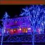 Purtuemy Meteor Shower Lights Christmas Lights, Falling Rain Lights 12 inch 8 Tubes LED Icicle Cascading String Lights for Christmas Halloween Holiday Decoration Garden Outdoor Trees Wedding , Blue Purtuemy Meteor Shower Lights Christmas Lights, Falling Rain Lights 12 inch 8 Tubes LED Icicle Cascading String Lights for Christmas Halloween Holiday Decoration Garden Outdoor Trees Wedding , Blue