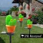 VGYVGYCC Garden Decor Solar Lights Outdoor - 2 Pack Cactus Stake Waterproof Landscape Lights Pathway Yard Lawn Walkway Decoration