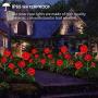 HeyMate Solar Garden Lights Outdoor 2 Pack Solar Red Rose Flower Lights with 10 Rose Flowers Solar Christmas Decorative Lights Waterproof for Backyard,Patio,Pathway,Xmas Decorations