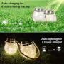 WELTRANS 2 Pack Hanging Solar Lights, 30 Led Solar Lanterns Outdoor String Fairy Lights, Crackle Mason Jar Glass Lamp for Tree, Table, Yard, Garden, Patio, Lawn, Party Outdoor Decorations(Warm White)