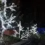 Cool White Christmas Mini String Light Set, 50 LED Lights, 25 ft Indoor/Outdoor LED White Christmas Lights Outdoor Tree Lights Christmas String Lights Wedding Party Decorations
